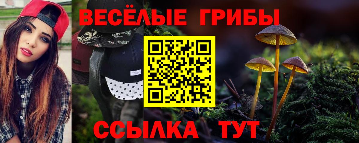 где купить   Галлюциногенные грибы MAGIC MUSHROOMS  Вход с VPN  Лысьва  Галлюциногенные грибы ЛСД 