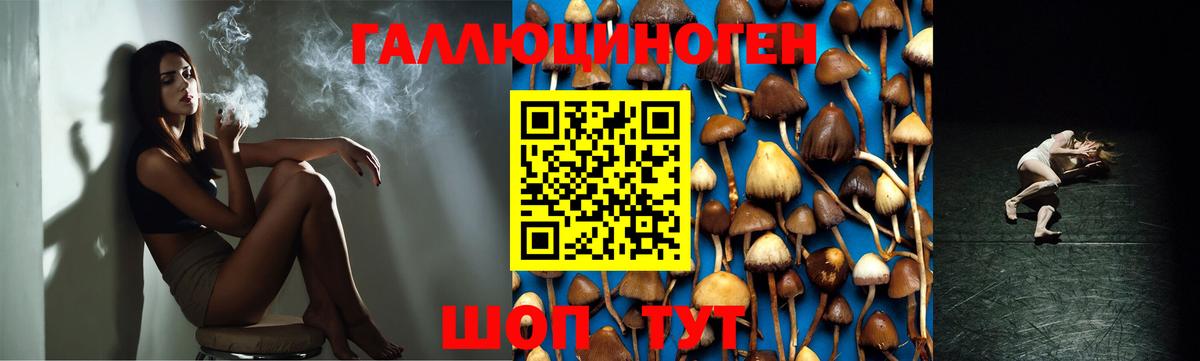 Псилоцибиновые грибы GOLDEN TEACHER Лысьва